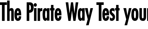 Font : Fuji-Condensed-Bold 2 Custom Text : The Pirate Way Test your own text here Click to download or to view this font on a tshirt that can be custom printed in Bali
